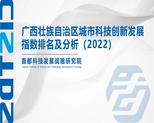 免费看日骚逼视频【成果发布】广西壮族自治区城市科技创新发展指数排名及分析（2022）